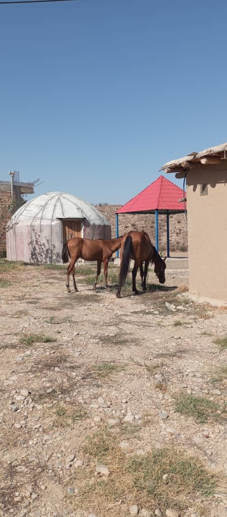 اقامتگاه بومگردی آی جرن روانبخش در کلاله